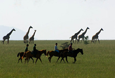 Kenya-Amboseli-Amboseli Horse Safari